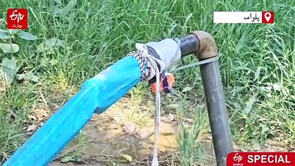 ناممکن ہوا ممکن! کشمیر کے کریواز میں پہلی بار دھان کی کھیتی