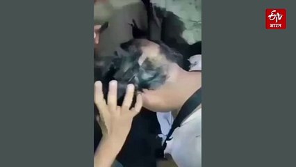 यादव कथावाचक की चोटी काटी, सिर मुंडवाया, नाक रगड़वाई; इटावा के गांव में कथा करने पर बवाल, हारमोनियम तोड़ा, मारपीट