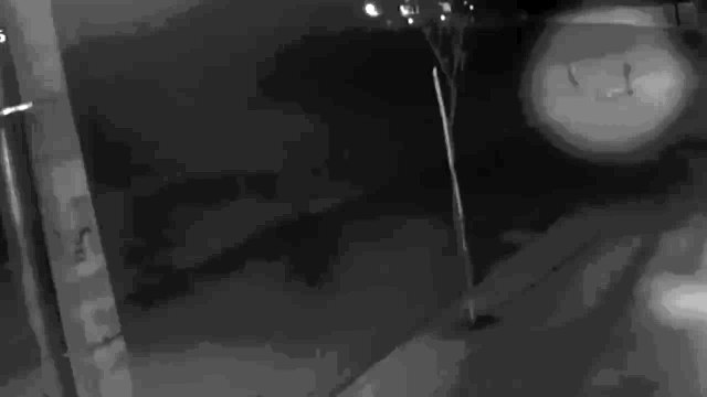 Seguranças matam homem após furto de chocolate em supermercado no Paraná