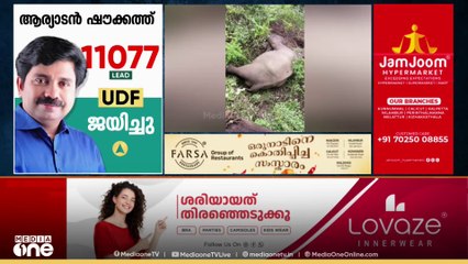 ഇടുക്കി മറയൂരിൽ സ്വകാര്യഭൂമിയിൽ കാട്ടാന ചരിഞ്ഞ നിലയിൽ