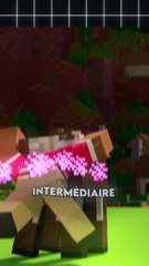 [Vidéo Exclusive] Comment marche les Enderpearl