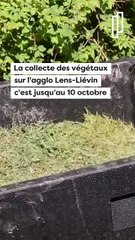 Que deviennent vos déchets végétaux ?