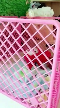 When you call ‘MOM!’ and the dog knows it messed up 😂🐾 #MyPetsie ___________________________________________ Explore the Link in Our Bio for More Best Pets Toys & Supplies! 🛒🛍️ _______________