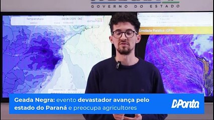 Geada Negra: evento devastador avança pelo Paraná e preocupa agricultores