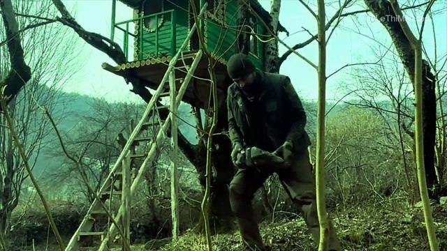 Great tree shelter, no more fear of wild boars at night | Bushcraft survival skills, Solo camping