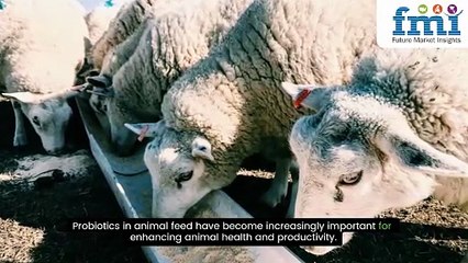 Animal Feed Probiotic Market In-depth Insights, Revenue Details, Regional Analysis by 2035