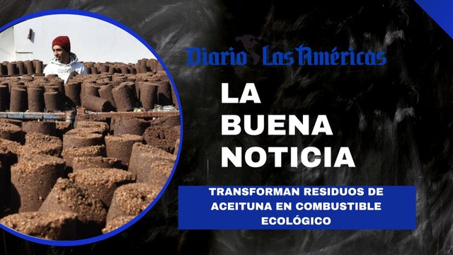 Transforman residuos de aceituna en combustible ecológico | La buena noticia