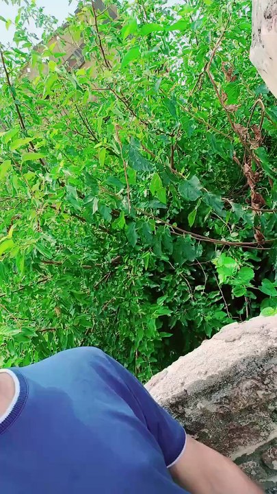 Usama Muzamil Hussain | My Home Town | Dhoke Thathi | Punjab | Pakistan | Vedios | Dailymotion