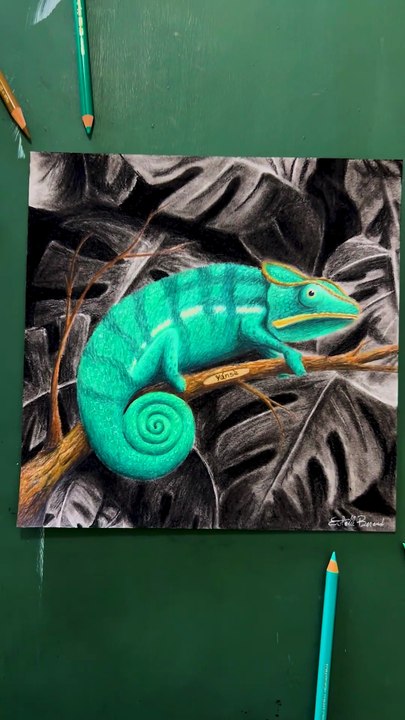 Voici mon dessin du caméléon de Baggy Dessine #dessin #cameleon #drawing #art