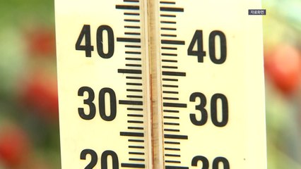 무더운 날씨에 온열질환자 속출...환자 263명·2명 사망 / YTN