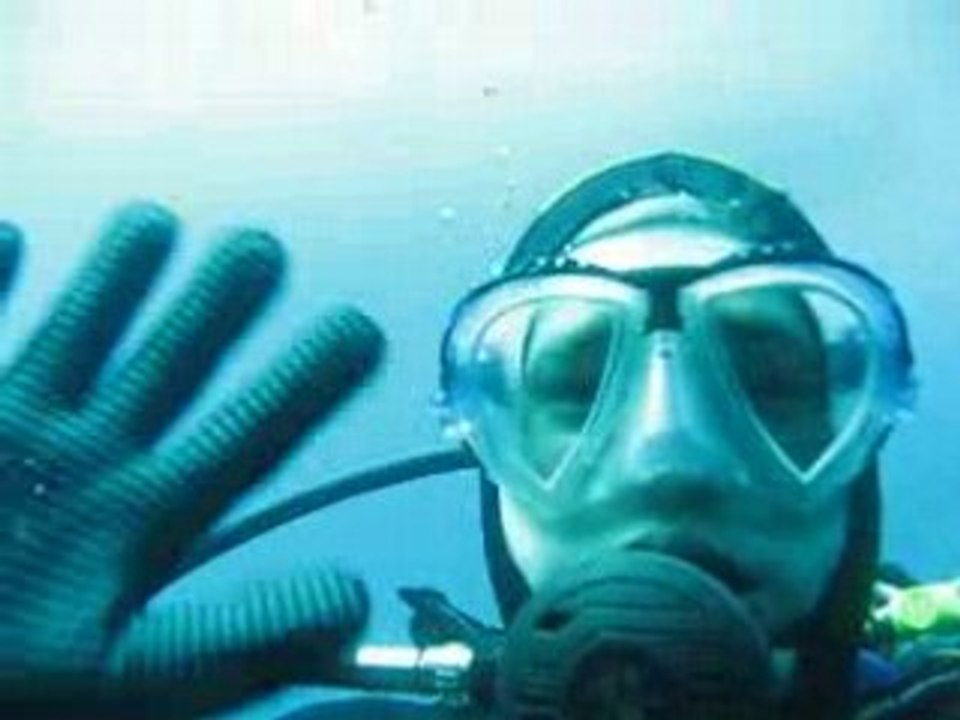 De drôles de plongeurs....