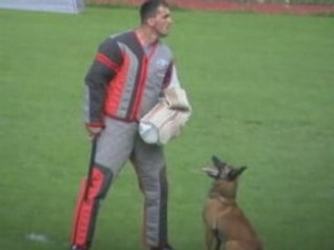 FMBB-2008-Scherk C./YNKA