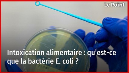 Intoxication alimentaire : qu’est-ce que la bactérie E. coli ?