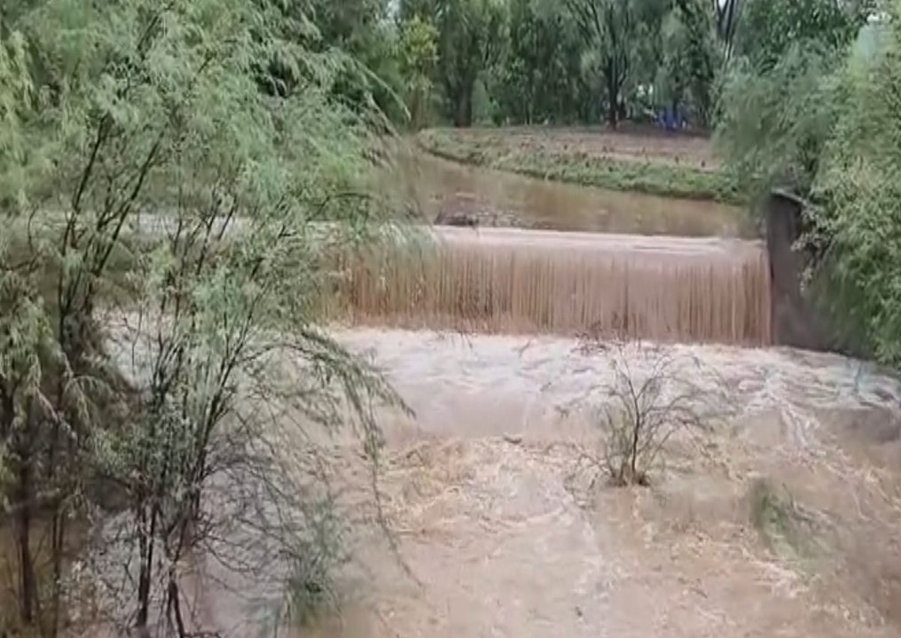 आषाढ़ के पहले पखवाड़े में ही किसानों की आशा पूर...