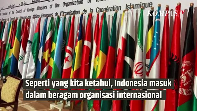 Perang Israel-Iran, Indonesia Ingatkan Israel soal Bahaya Nuklir| SINAU