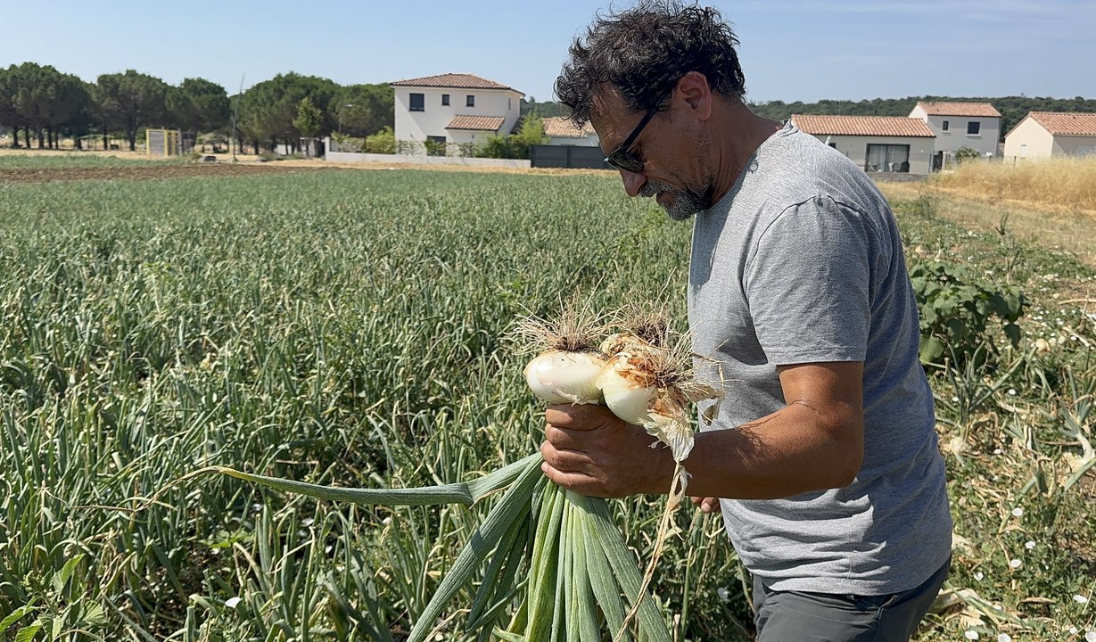 Interview de Didier Gadéa, président de "La Cèbe de Lézignan"