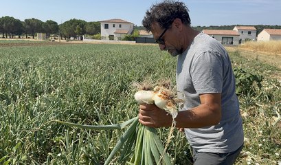 Interview de Didier Gadéa, président de "La Cèbe de Lézignan"