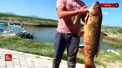 Beyşehir Gölü'nde av sezonu
