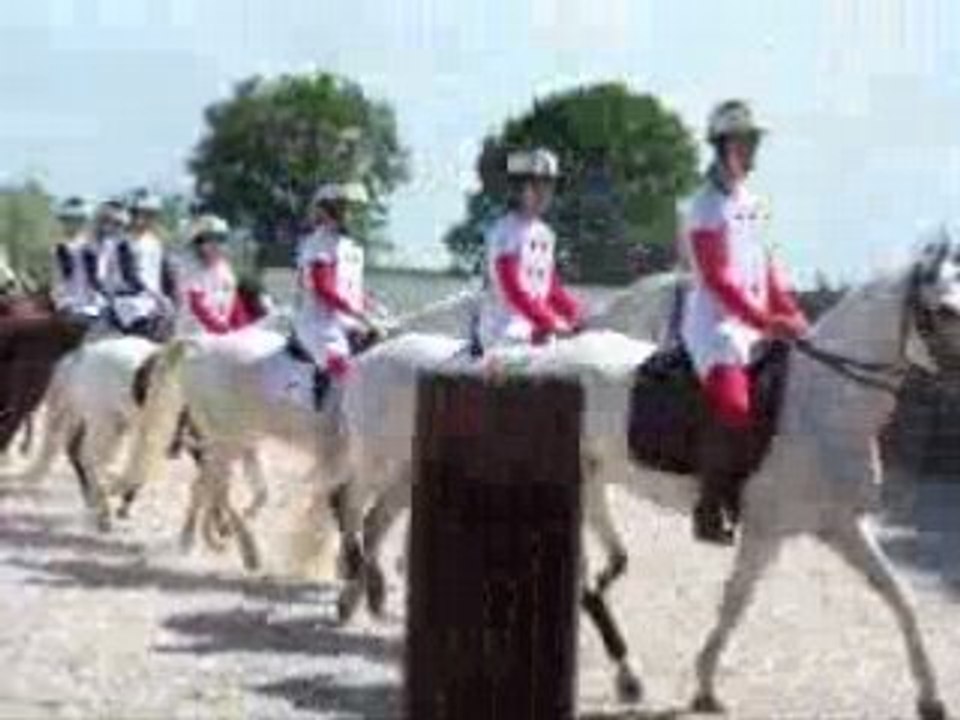 carroussel des cartes Takirou 2008