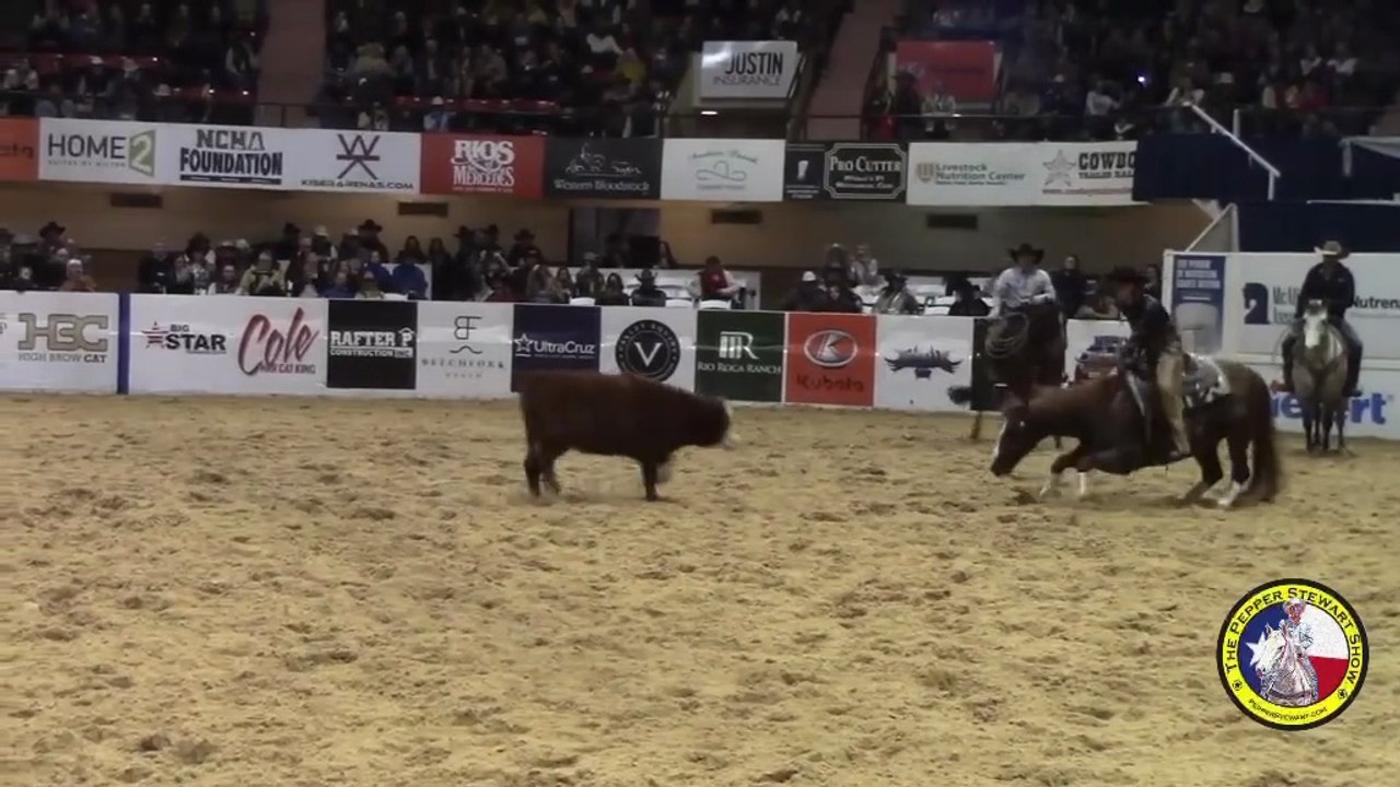 Bella Hadid the NCHA Rookie of the Year!