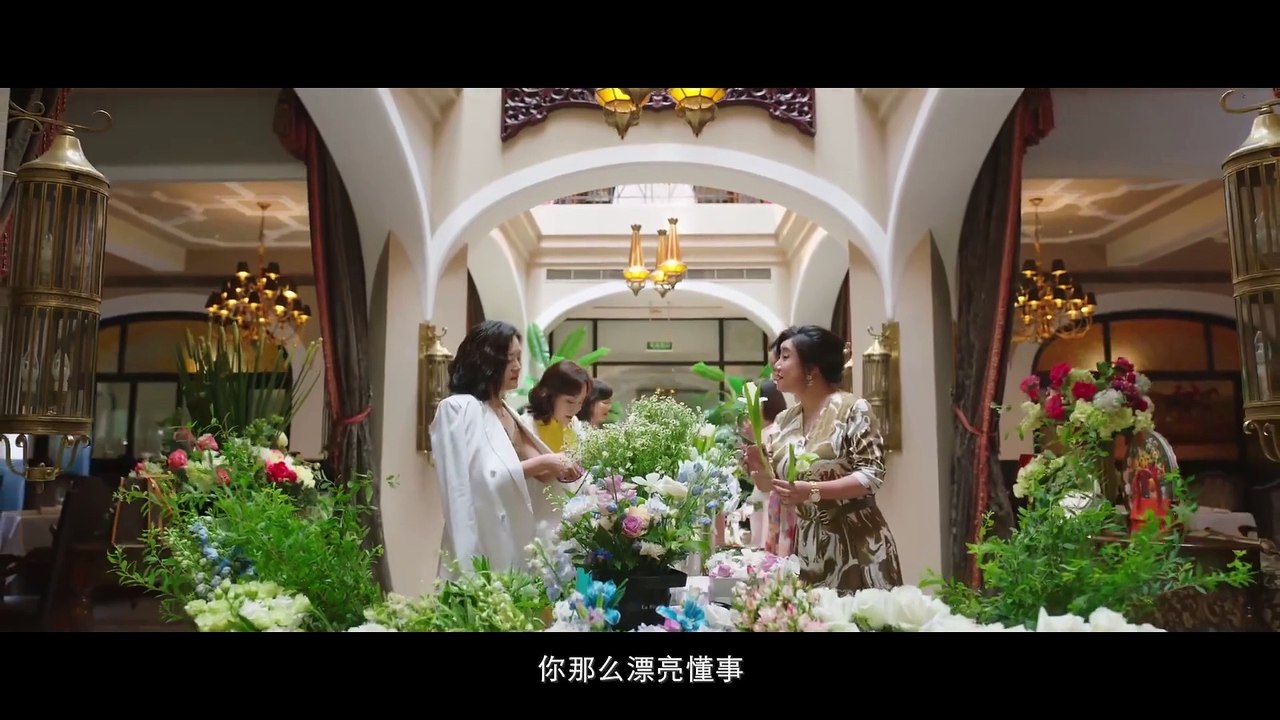 Stand or Fall 《闪耀的她》Drama Trailer (2023) | Qin Lan 秦岚, Wang Yang