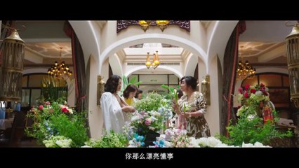 Stand or Fall 《闪耀的她》Drama Trailer (2023) | Qin Lan 秦岚, Wang Yang