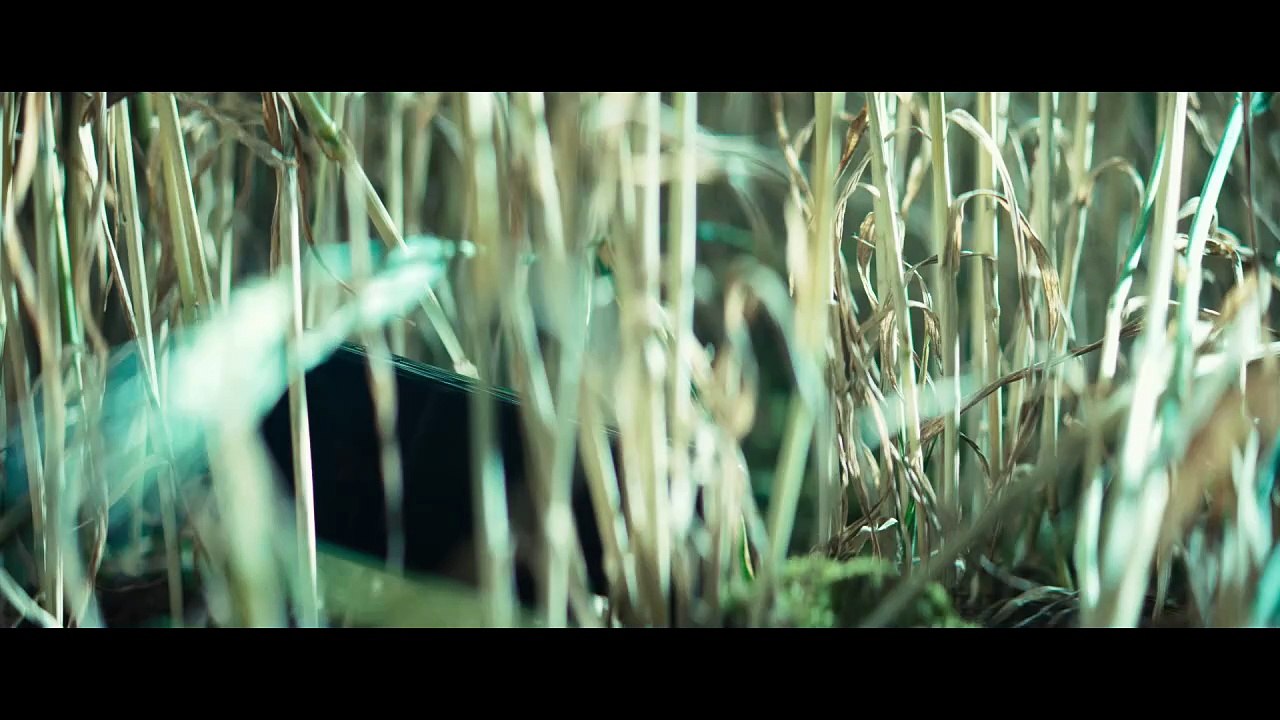 Bande-annonce  : « Rapaces », le thriller Made in France de l'été