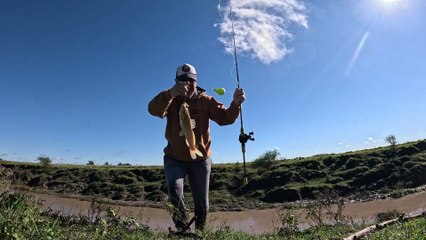 Pescando y cocinando en arroyito con poca agua - Bagres asados a la brocheta - Video de pesca