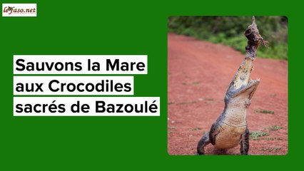 Tourisme : Il faut sauver la mare aux crocodiles sacrés de Bazoulé