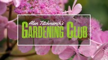 Gardening 2025 Episode 4