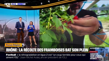 Pauline Pioche sur BFM (25/06/2025)