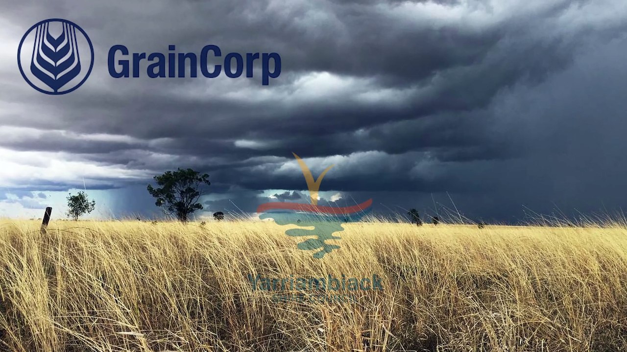 Incredible Silo Art That Put a Tiny Australian Town on the World Map