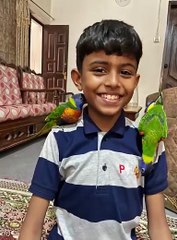 Pets Life #petslife #Viral #Funny #beauty