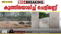 'മലക്കുള്ളിൽ ഉരുൾപൊട്ടിയിട്ടുണ്ടോ എന്ന കാര്യങ്ങളെല്ലാം അധികൃതർ പരിശോധിക്കുന്നുണ്ട്'