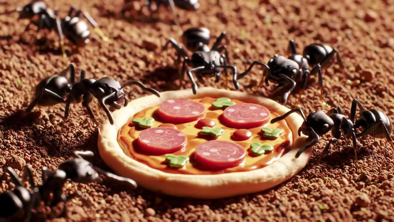 Ants are Making Pizza