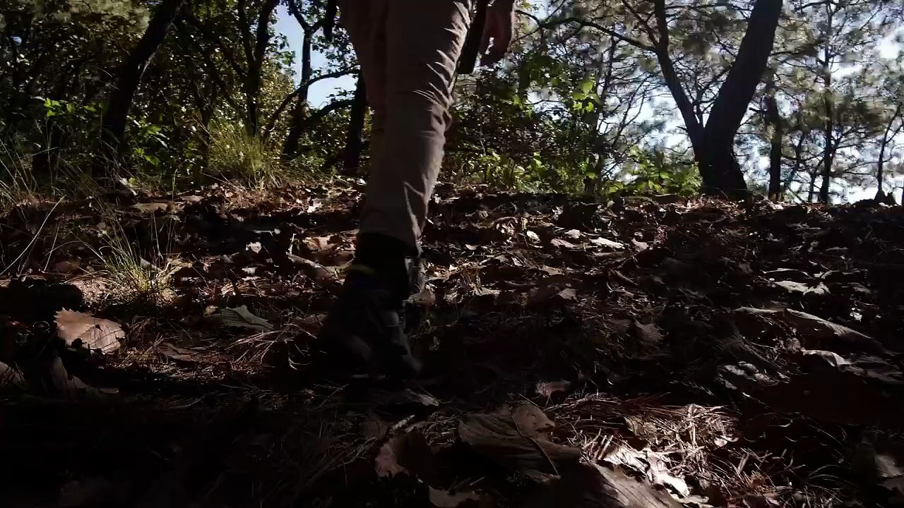 mixkit-man-walking-through-forest-86-hd-ready