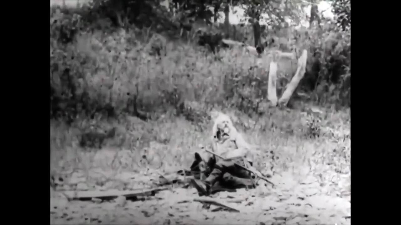Adventures of Buffalo Bill (1917) - Full movie