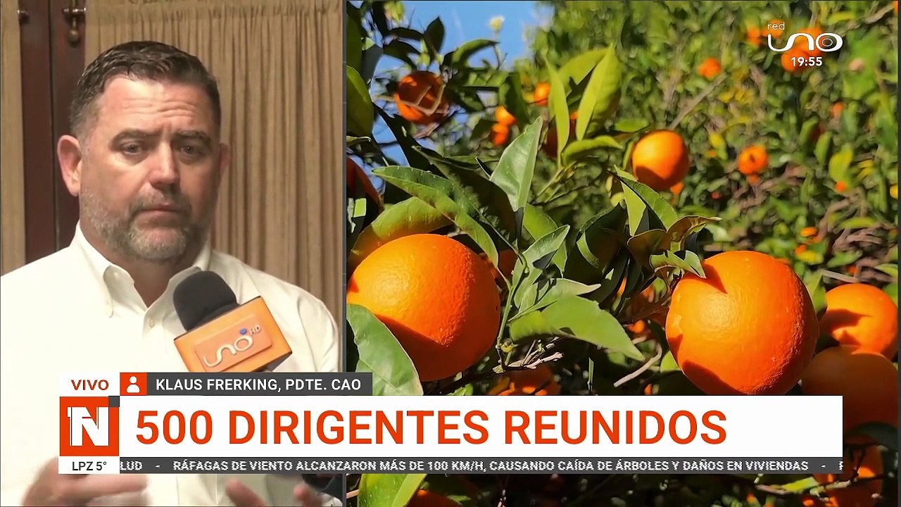 500 dirigentes