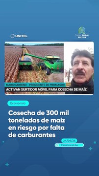 Cosecha de 300 mil toneladas de maíz en riesgo por falta de carburantes