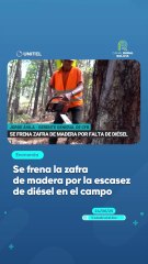 Se frena la zafra de madera por la escasez de diésel en el campo