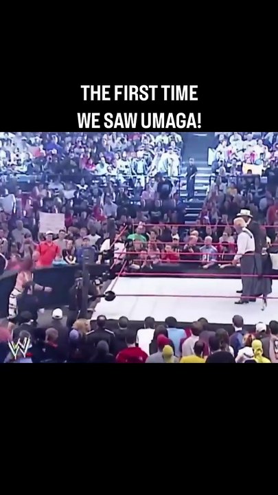 SADISTIC HEEL TEE, LINK IN BIO!#wwe #wrestling #prowrestling #aew #wwesmackdown #wweraw #wwf #johncena #romanreigns #tnawrestling #ufc #mma #wwe2k24