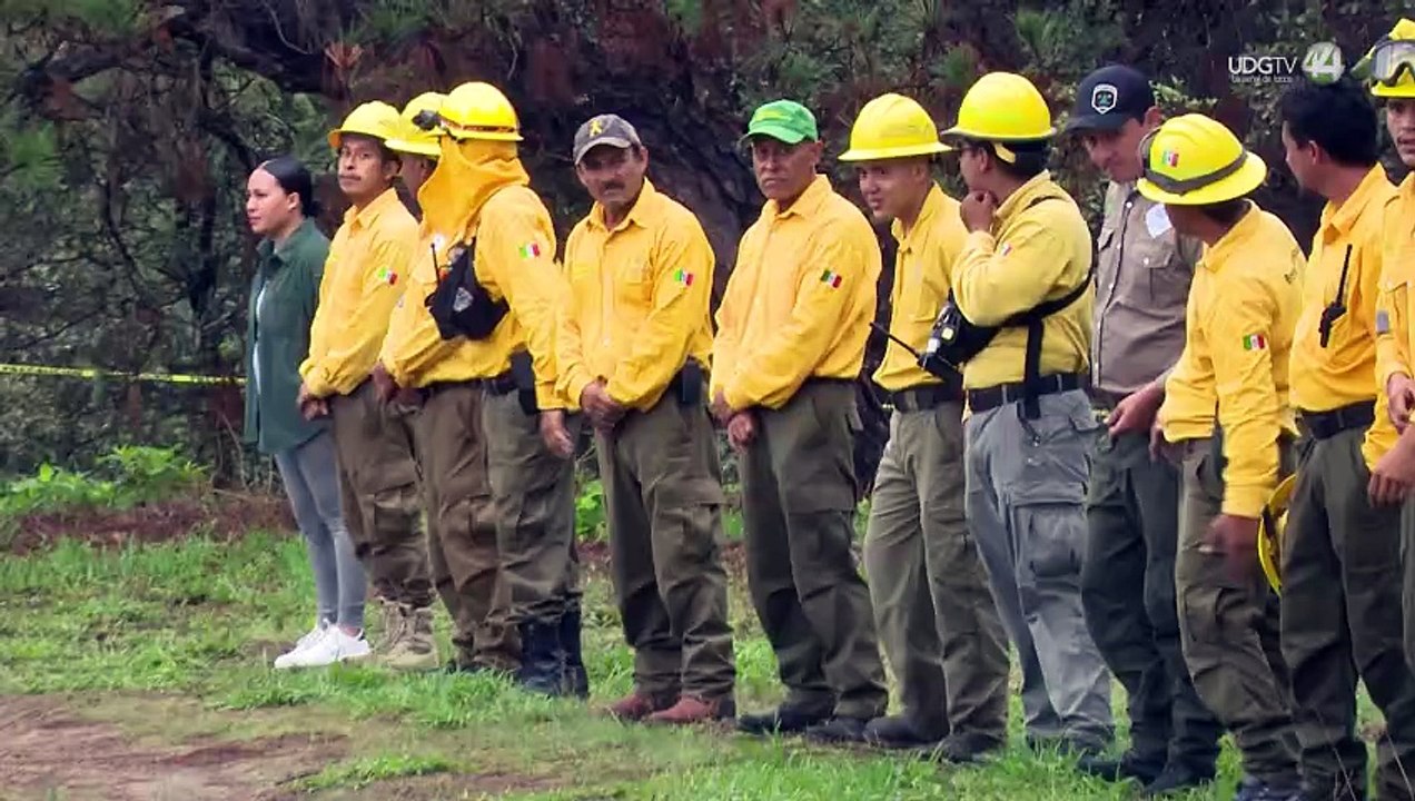 Lemus anunció reforestación masiva en todo el Estado de Jalisco