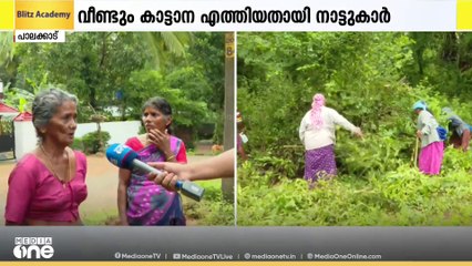 മുണ്ടൂർ ഞാറക്കോട് കാട്ടാന ഭീതി ഒഴിയുന്നില്ല