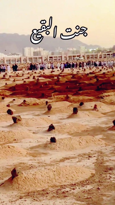 جنت البقیع، مدینہ منورہ میں موجود قبرستان ہے۔ یہاں اصحابِ رسول، اہلِ بیتِ رسول اور کئی معزز شخصیات مدفون ہیں۔ بقیع اس جگہ کو کہتے ہیں جہاں جنگلی پیڑ پودے. جنت البقیع میں 10,000 صحابہ کو دفن کیا گیا جن میں بعض امہات المومنین رسول اللہ صلی اللہ علیہ وسلم کی