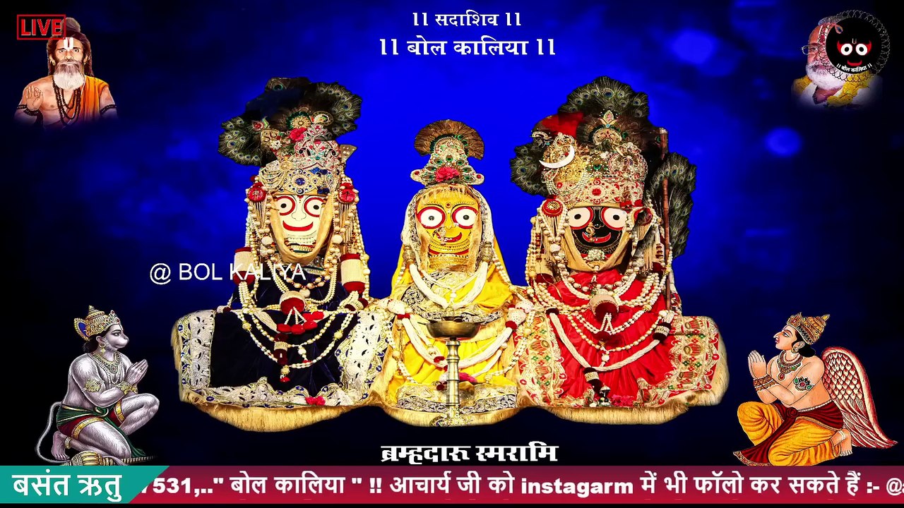 बसंत ऋतु महोत्सव !! आचार्य श्रीयुत पं युवराज पाण्डेय जी#bolkaliya #live #trending #ram #bhajan #holi