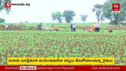 అక్కడి రైతులు పంటలు వేసేందుకు భయపడుతున్నారు - వర్షాలు లేక మాత్రం కాదు