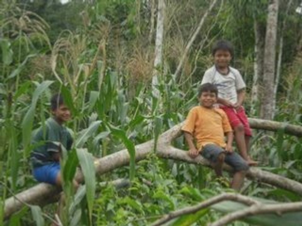 AMAZONIE 3