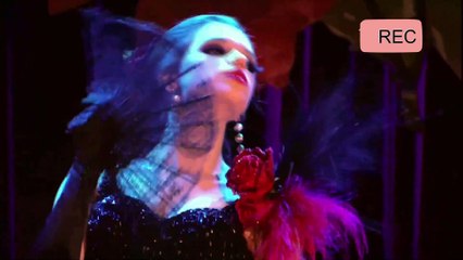 Gabriela Capítulo 29 Completo