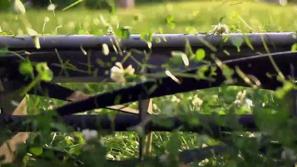 Push Mower Slow Motion