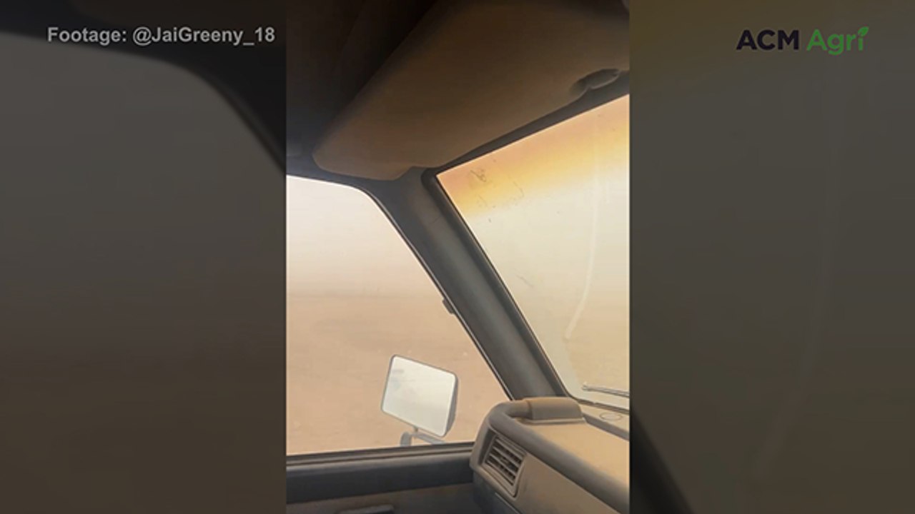 Western Eyre Peninsula dust storm